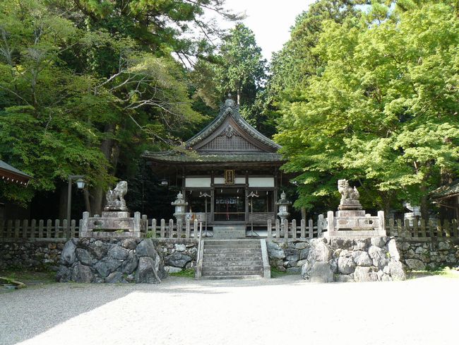 �g��q�_��