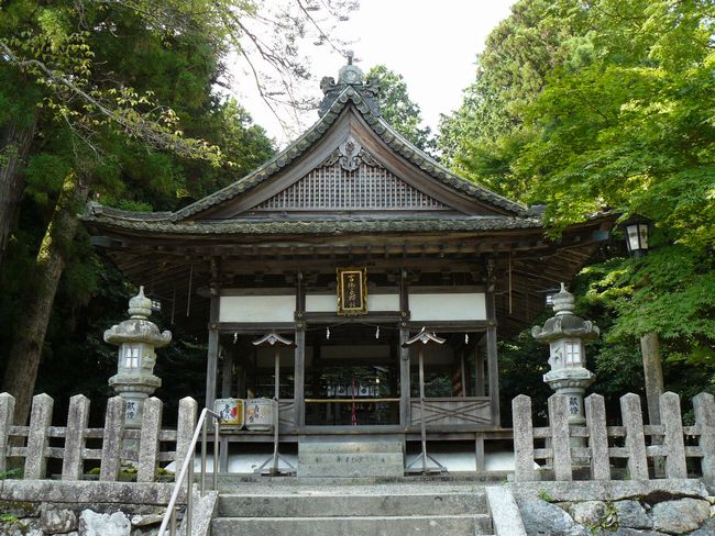 �g��q�_��