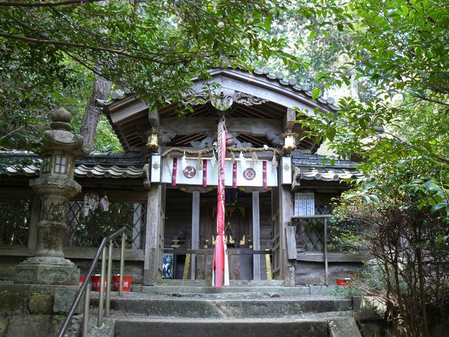 �g��q�_��