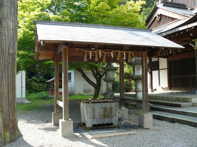 �g��q�_��