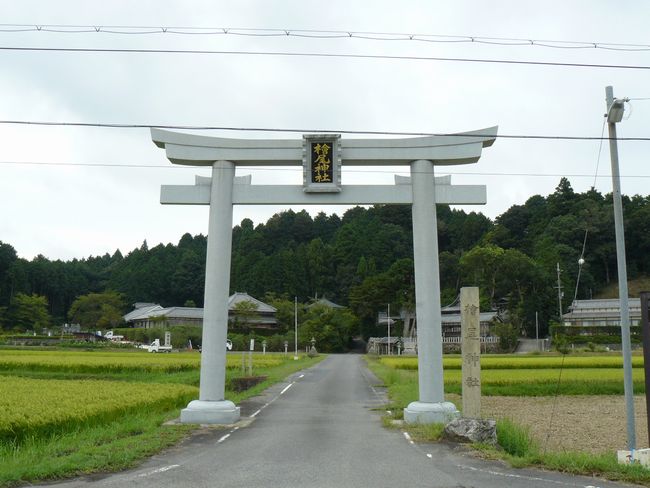 �w���_��