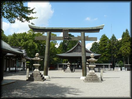 �����_��