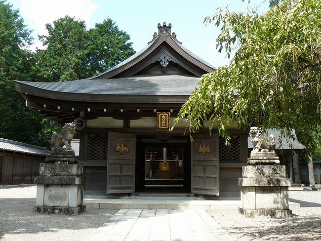 �����_��