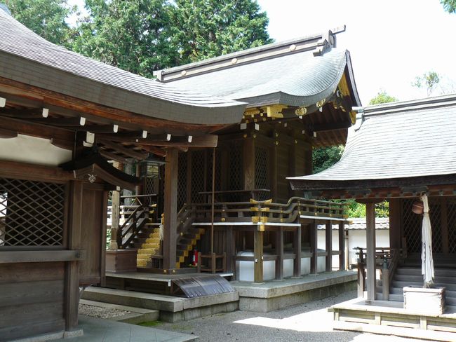 �����_��