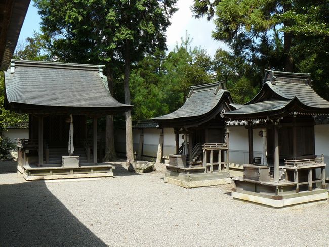 �����_��