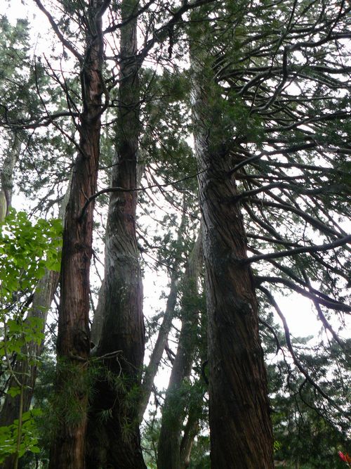 �b��s�E�ʌj��