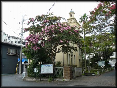 �������}����