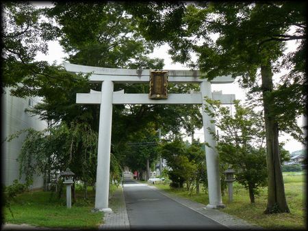 ���_�Ћ������ʂɐ݂���ꂽ�咹��