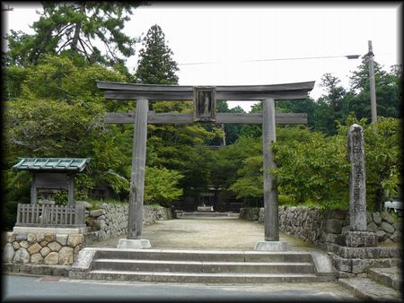 �����_��