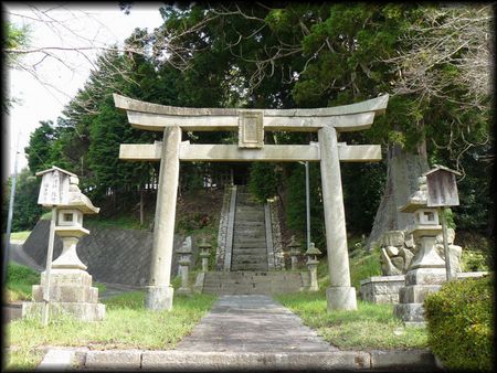 �����_��