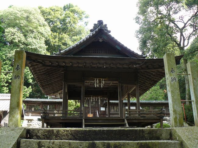 �����_��