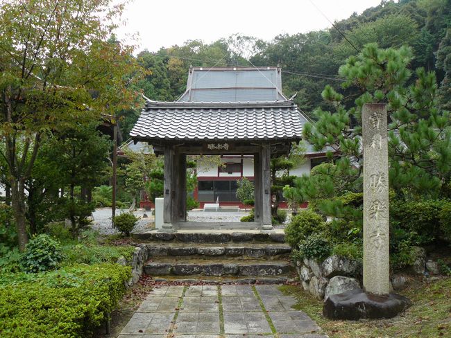 �b�ǒ��E���y��