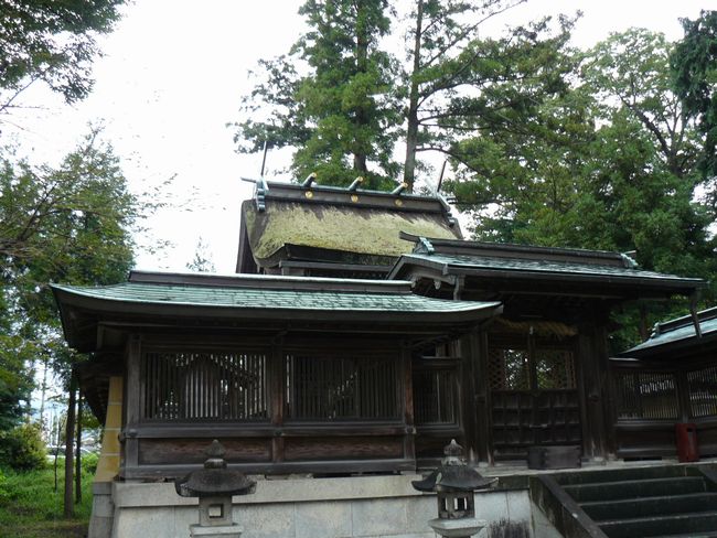 �b�ǒ��E�b�ǐ_��