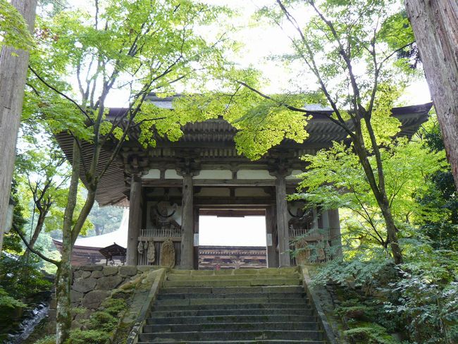 �b�ǒ��E������