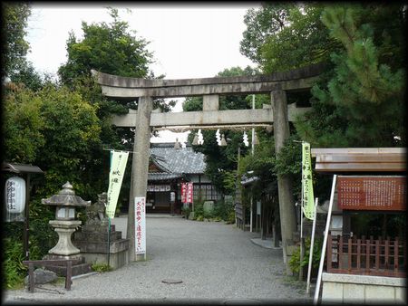 �ɍ����_��