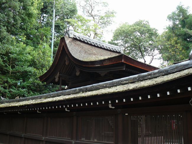 �ɍ����_��