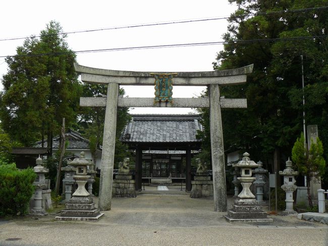 �V���_��