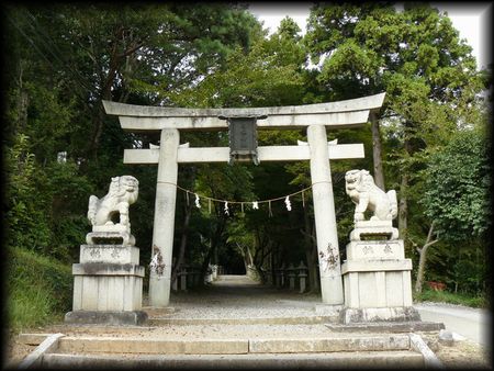 �����_��