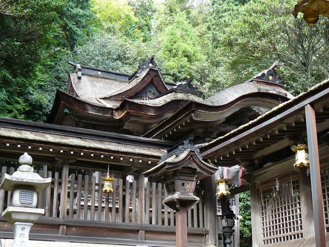 �Č��s�E�����_��