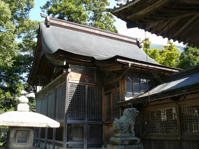 �Č��s�E�ɕv��_��