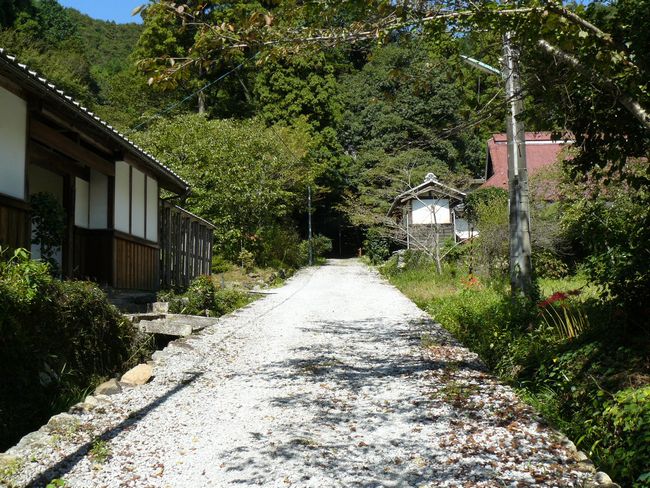 �Č��s�E�ω���