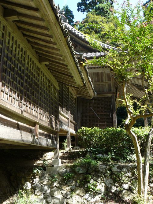 �Č��s�E�ω���