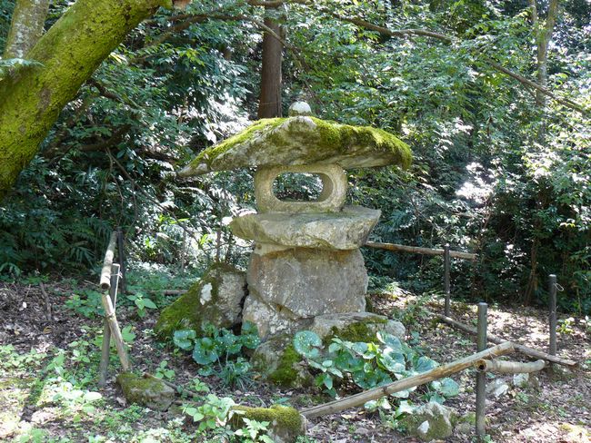 �Č��s�E�ω���