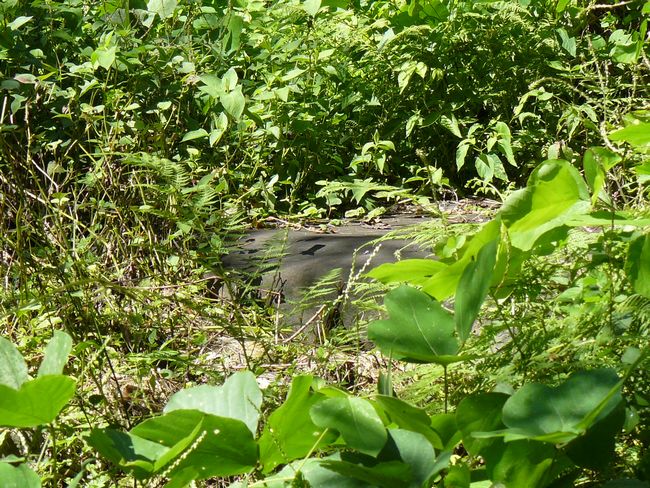 �Č��s�E�ω���