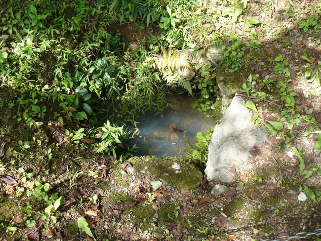 �Č��s�E�ω���