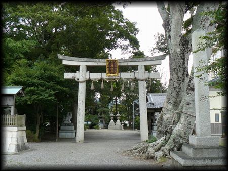 �}���_��