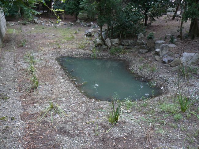 �Č��s�E�}���_��