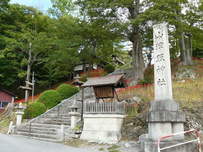 �Č��s�E�R�ÏƐ_��