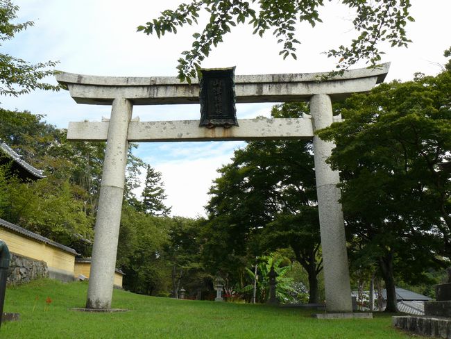 �Č��s�E�R�ÏƐ_��