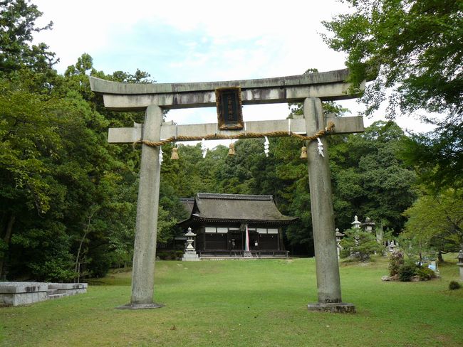 �Č��s�E�R�ÏƐ_��