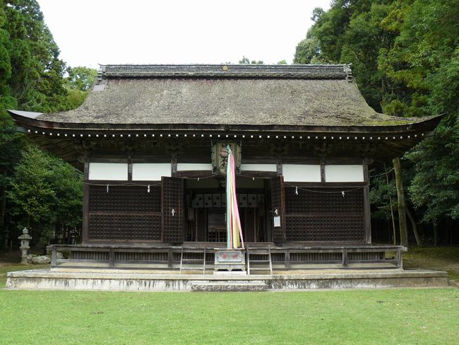 �Č��s�E�R�ÏƐ_��