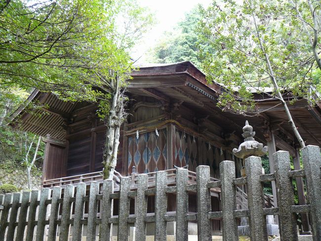 �Č��s�E�R�ÏƐ_��