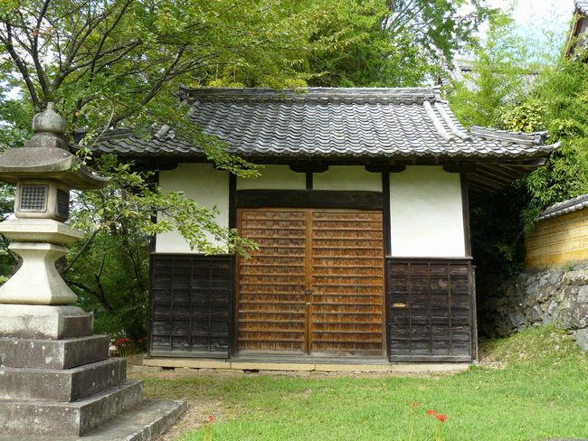 �Č��s�E�R�ÏƐ_��