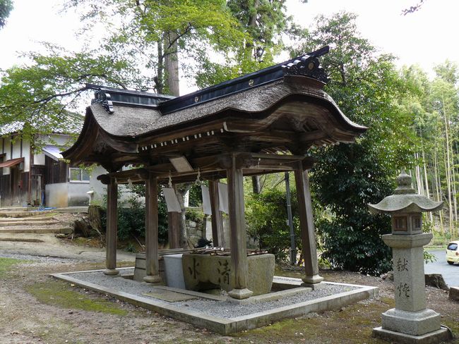 �Č��s�E�R�ÏƐ_��