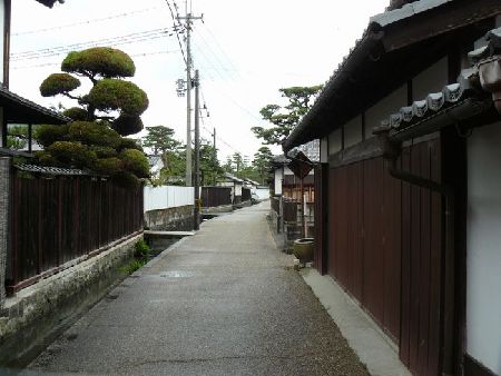 �܌��������i�_���W���j