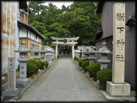 �����_��