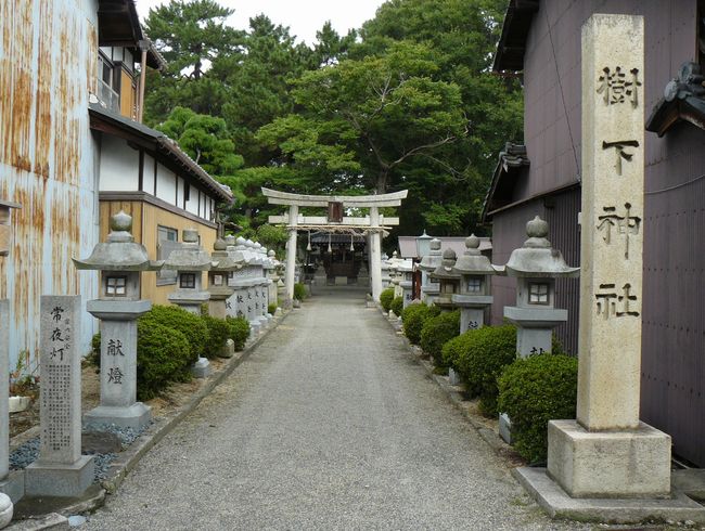 �����_��