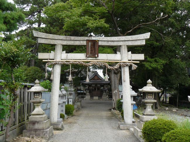 �����_��