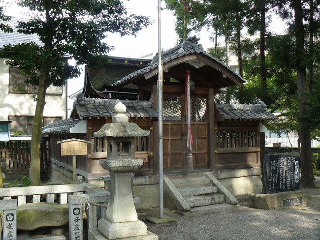 �����_��