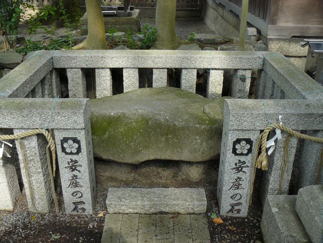 �����_��