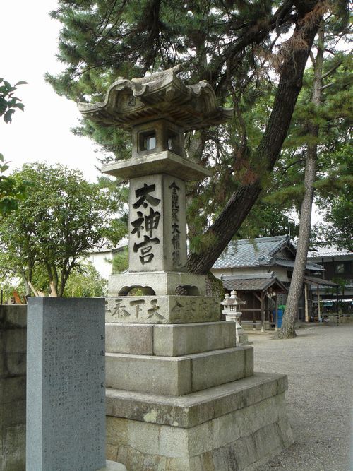 �����_��