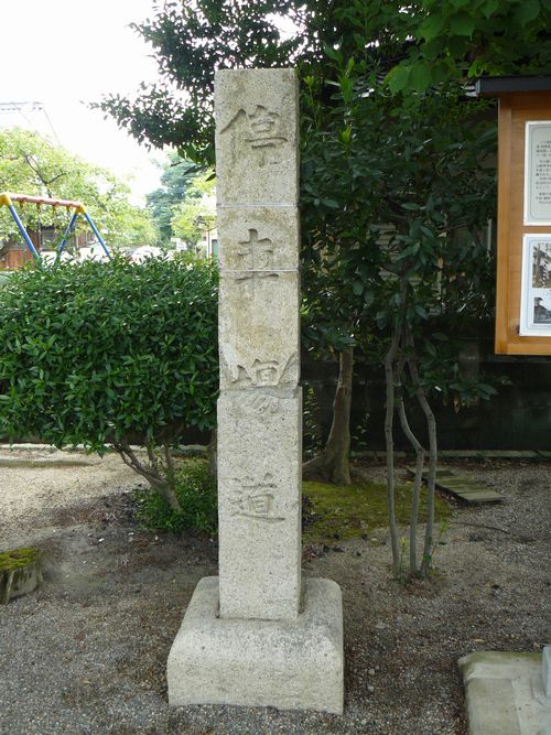 �����_��