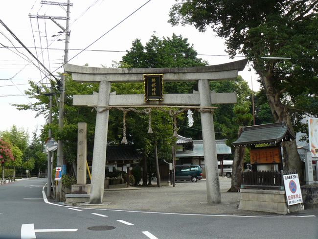 �����_��