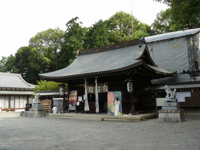 �����_��