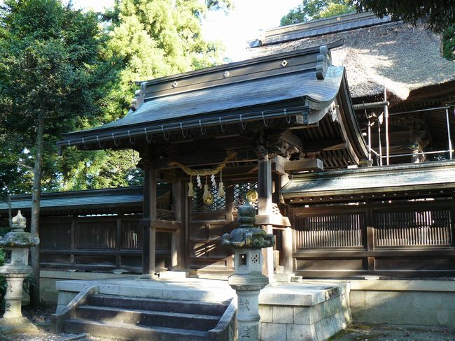 ���l�s�E���g�_��