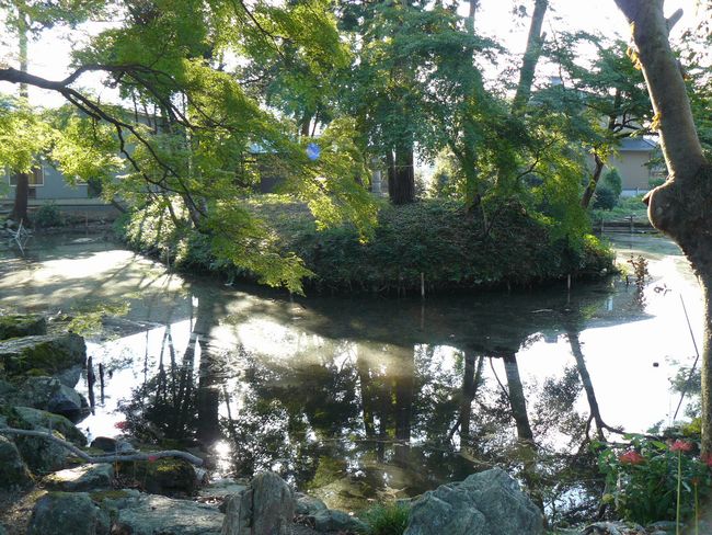 ���l�s�E���g�_��